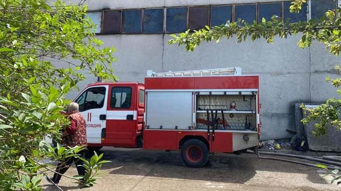 Пожар изпепели 10 декара в Родопите